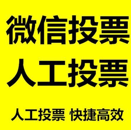 西藏投票活动拉票能被查出来吗？如何操作能不被发现？